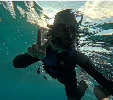 本部ダイビングショップTI.OCEANに投稿された画像（2024/12/24）