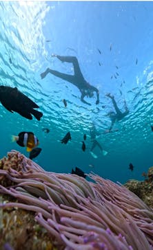 本部ダイビングショップTI.OCEANに投稿された画像（2024/12/24）