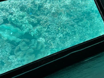 川平マリンサービスに投稿された画像（2024/12/24）