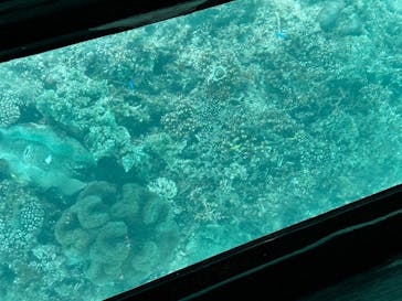 川平マリンサービスに投稿された画像（2024/12/24）