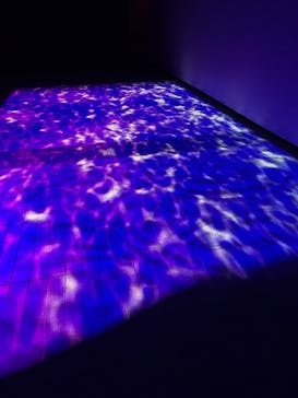 東京メガイルミに投稿された画像（2024/12/24）