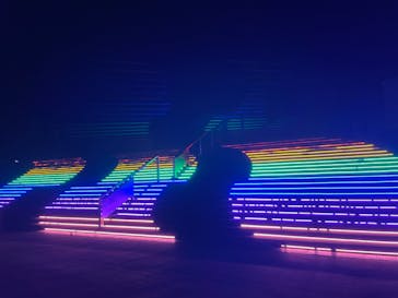 東京メガイルミに投稿された画像（2024/12/24）