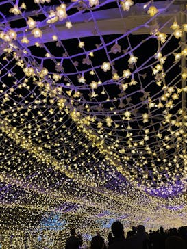 東京メガイルミに投稿された画像（2024/12/24）