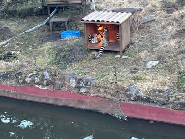 伊豆シャボテン動物公園に投稿された画像（2024/12/24）