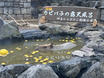 伊豆シャボテン動物公園に投稿された画像（2024/12/24）
