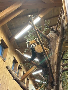 伊豆シャボテン動物公園に投稿された画像（2024/12/24）