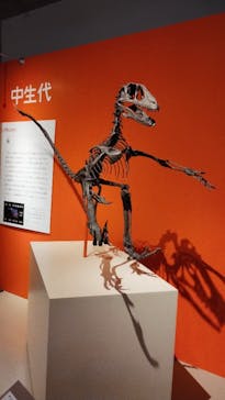 特別展「鳥 ～ゲノム解析が解き明かす新しい鳥類の系統～」国立科学博物館に投稿された画像（2024/12/24）