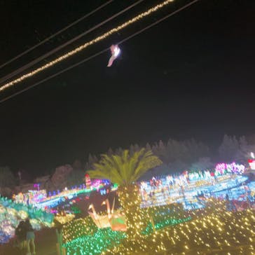 伊豆高原グランイルミに投稿された画像（2024/12/24）