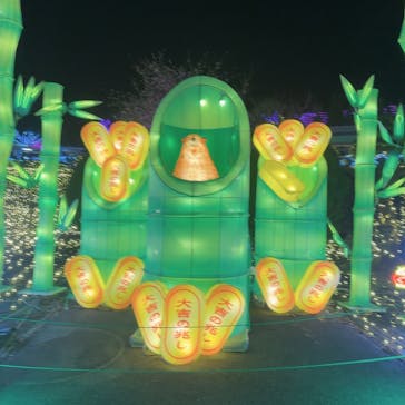 伊豆高原グランイルミに投稿された画像（2024/12/24）