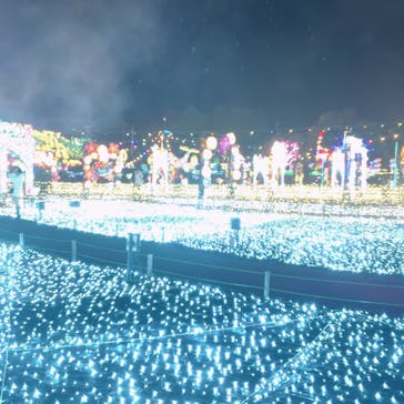 伊豆高原グランイルミに投稿された画像（2024/12/24）