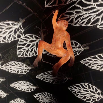 伊豆高原グランイルミに投稿された画像（2024/12/24）