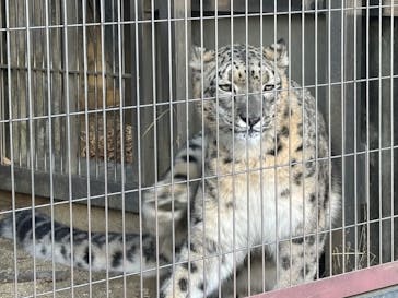名古屋市東山動植物園に投稿された画像（2024/12/24）