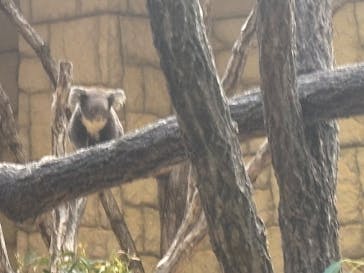 名古屋市東山動植物園に投稿された画像（2024/12/24）