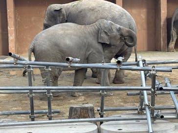 名古屋市東山動植物園に投稿された画像（2024/12/24）