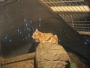 名古屋市東山動植物園に投稿された画像（2024/12/24）