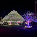 東京メガイルミに投稿された画像（2024/12/24）