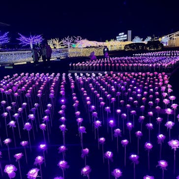 東京メガイルミに投稿された画像（2024/12/24）