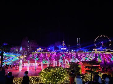 みろくの里に投稿された画像（2024/12/24）