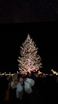 Christmas Market in 横浜赤レンガ倉庫 2025に投稿された画像（2024/12/24）