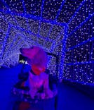 KYOTO ILLUMINATION SYNESTHESIA HILLS るり渓温泉に投稿された画像（2024/12/25）