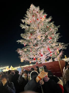 Christmas Market in 横浜赤レンガ倉庫 2025に投稿された画像（2024/12/24）