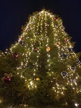 西武園ゆうえんちに投稿された画像（2024/12/24）