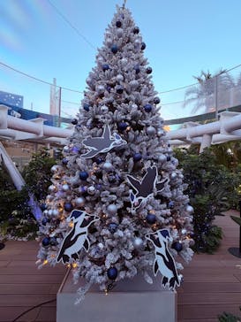 サンシャイン水族館に投稿された画像（2024/12/24）