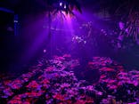 京都府立植物園　LIGHT CYCLES KYOTOに投稿された画像（2024/12/25）