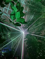 京都府立植物園　LIGHT CYCLES KYOTOに投稿された画像（2024/12/24）