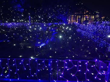 江の島シーキャンドルに投稿された画像（2024/12/24）