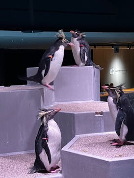 AOAO SAPPOROに投稿された画像（2024/12/24）