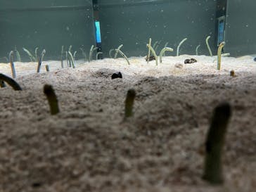 AOAO SAPPOROに投稿された画像（2024/12/24）