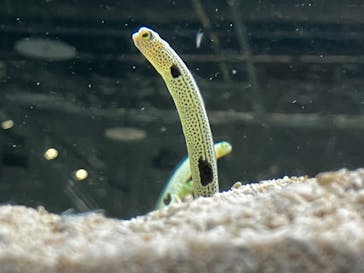 AOAO SAPPOROに投稿された画像（2024/12/24）