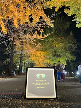 国営昭和記念公園 秋の夜散歩に投稿された画像（2024/12/25）