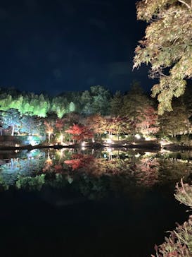 国営昭和記念公園 秋の夜散歩に投稿された画像（2024/12/25）