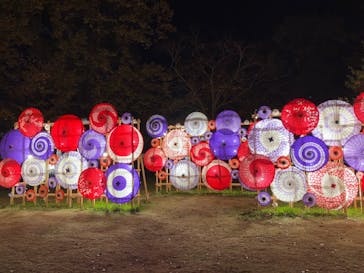 国営昭和記念公園 秋の夜散歩に投稿された画像（2024/12/25）