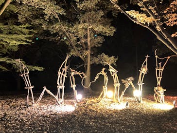 国営昭和記念公園 秋の夜散歩に投稿された画像（2024/12/25）