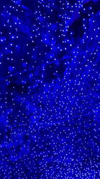 クリスマスファンタジー実行委員会に投稿された画像（2024/12/25）