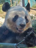 恩賜上野動物園に投稿された画像（2024/12/25）
