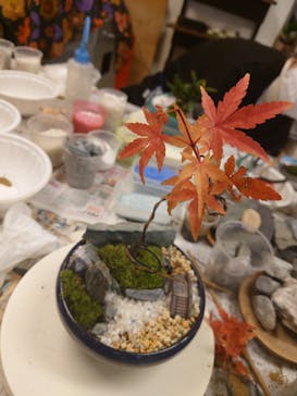 カルチャースクールいろはに投稿された画像（2024/12/25）