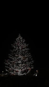 Christmas Market in 横浜赤レンガ倉庫 2025に投稿された画像（2024/12/25）