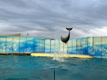 新江ノ島水族館に投稿された画像（2024/12/25）