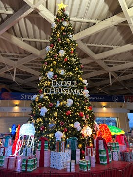 新江ノ島水族館に投稿された画像（2024/12/25）