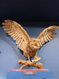 特別展「鳥 ～ゲノム解析が解き明かす新しい鳥類の系統～」国立科学博物館に投稿された画像（2024/12/25）