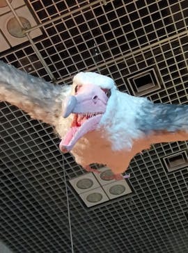 特別展「鳥 ～ゲノム解析が解き明かす新しい鳥類の系統～」国立科学博物館に投稿された画像（2024/12/25）