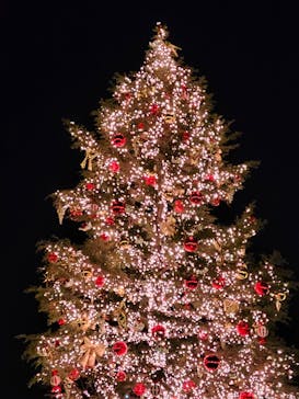 Christmas Market in 横浜赤レンガ倉庫 2025に投稿された画像（2024/12/25）