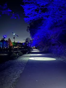 ムーミンバレーパークに投稿された画像（2024/12/25）