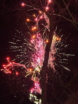 ムーミンバレーパークに投稿された画像（2024/12/25）