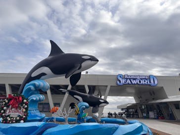 鴨川シーワールドに投稿された画像（2024/12/25）