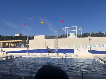 鴨川シーワールドに投稿された画像（2024/12/25）